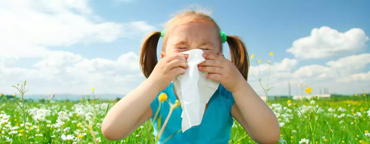 polen-alergija-klima