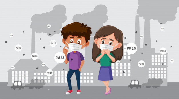 pm-cestice-pm 2.5